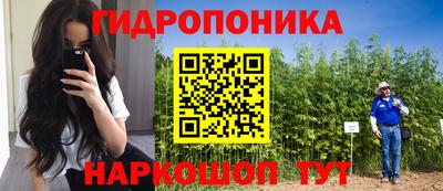 прущие грибы Балахна