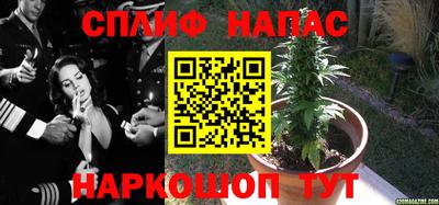 ГАЛЛЮЦИНОГЕННЫЕ ГРИБЫ Балашиха